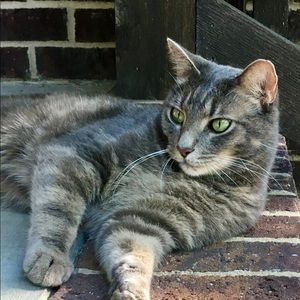 Meet your Posher, Whitney